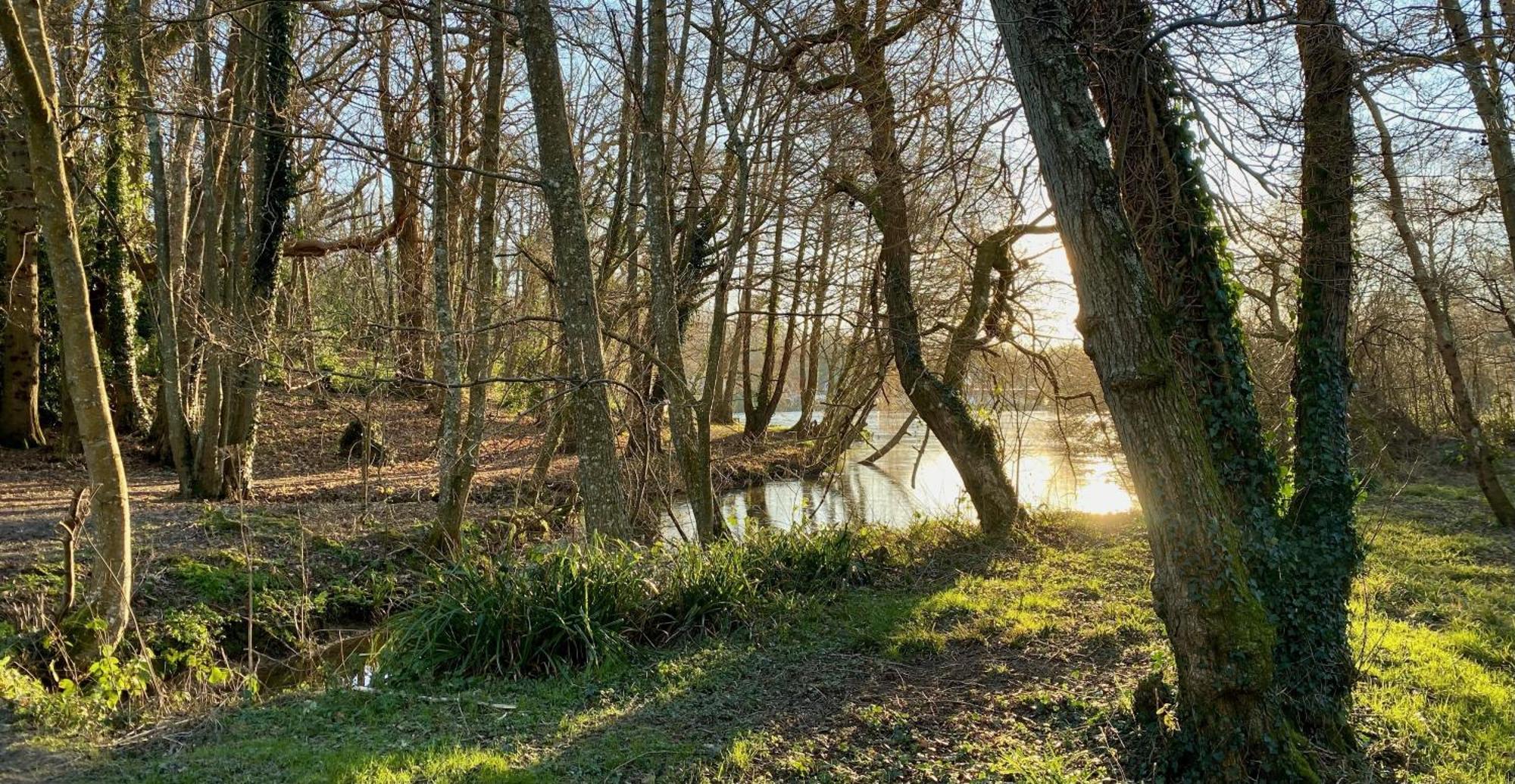 Powdermills Country House Hotel Μπατλ Εξωτερικό φωτογραφία