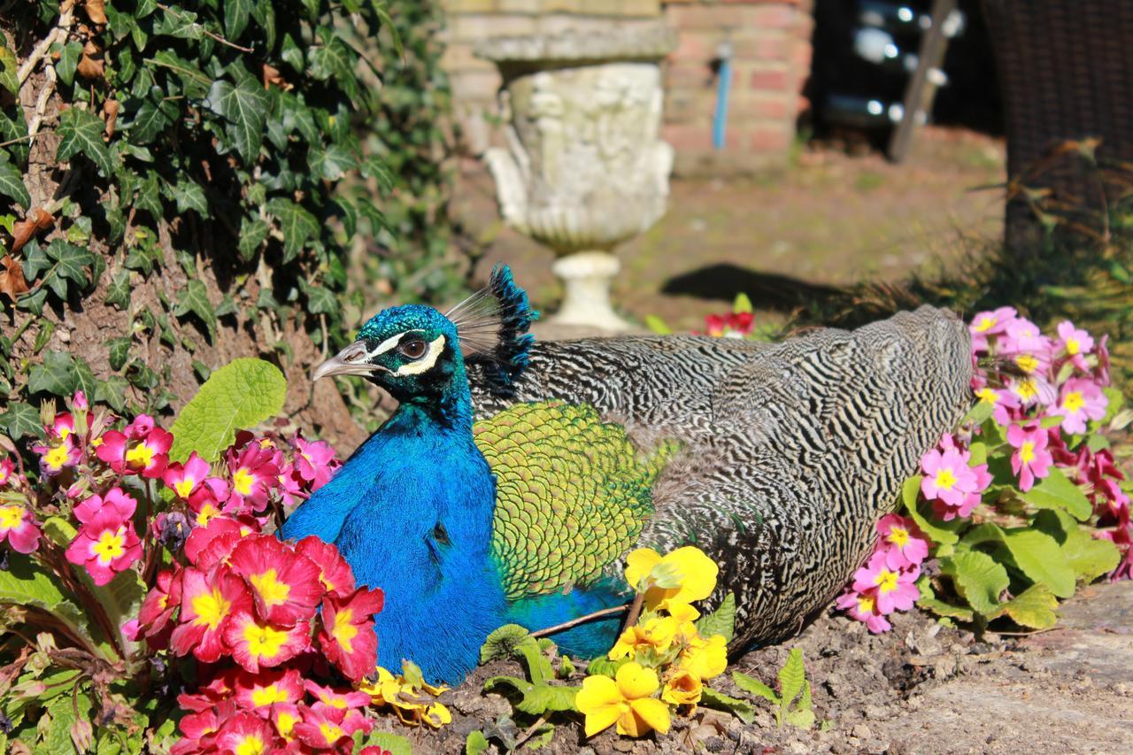 Powdermills Country House Hotel Μπατλ Εξωτερικό φωτογραφία